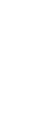 約10日